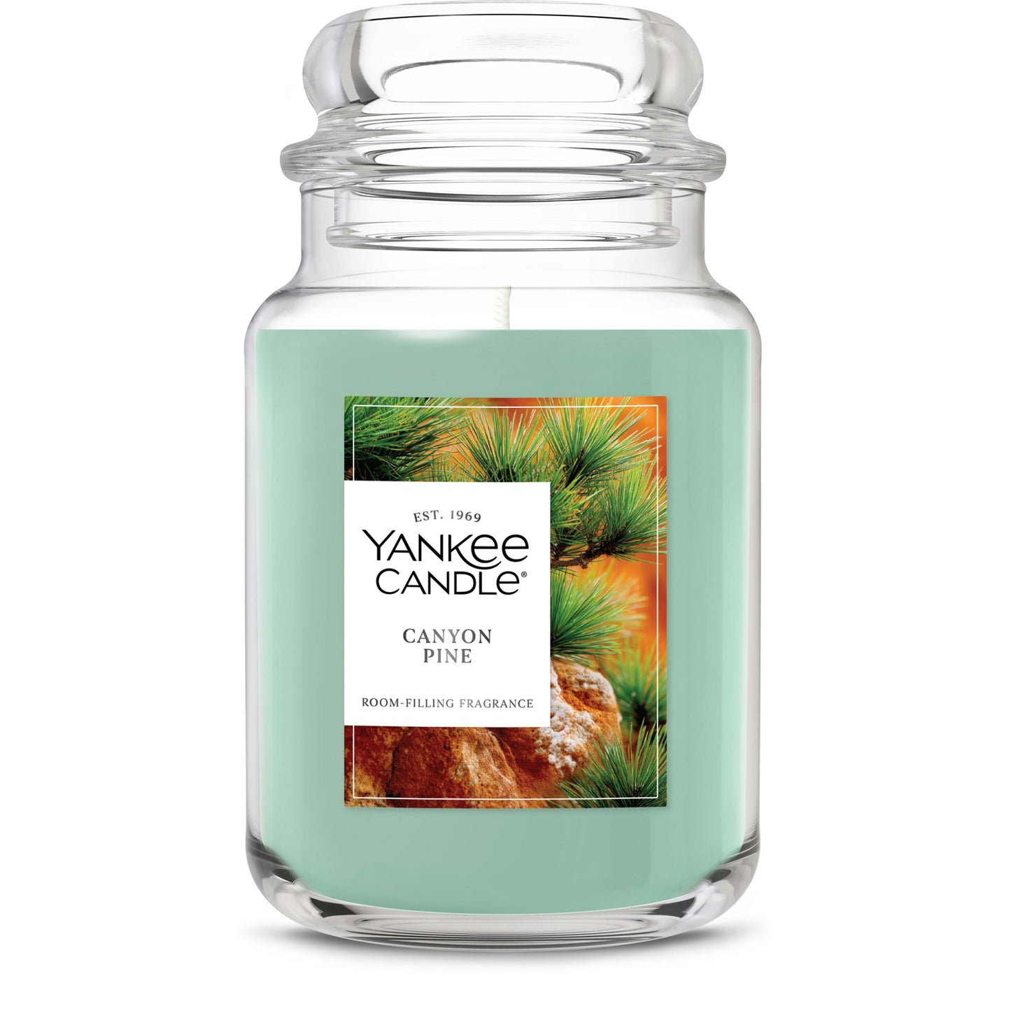 Canyon Pine F4N