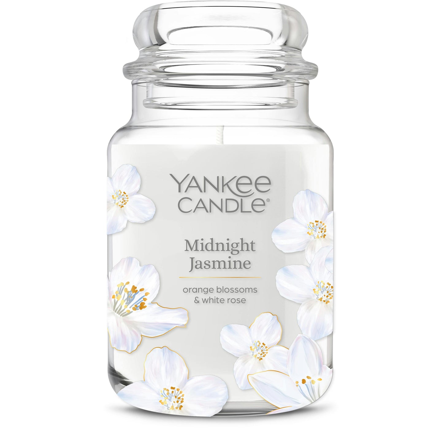 Midnight Jasmine PZW