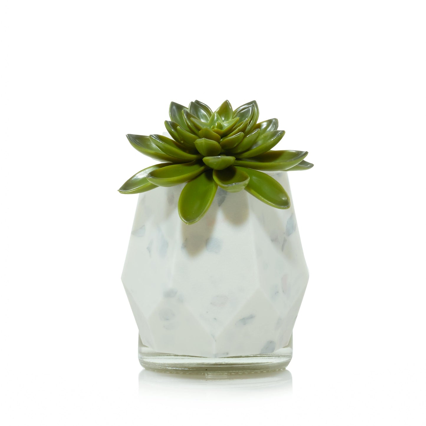 Faceted Succulent ScentPlug® Diffuser with Light FW8
