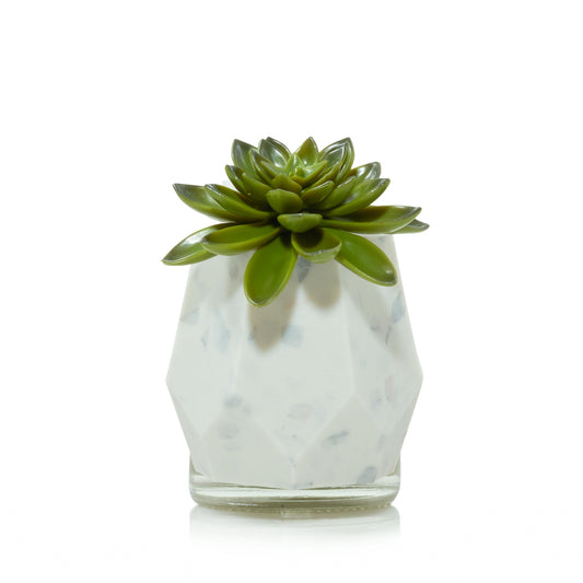 Faceted Succulent ScentPlug® Diffuser with Light FW8